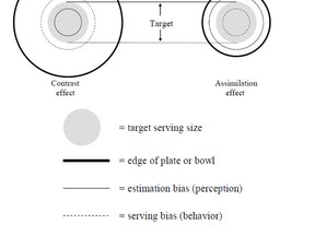 DINNERWARE-ILLUSION