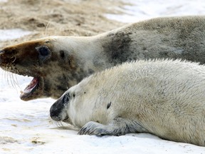 Paul Darrow/Reuters