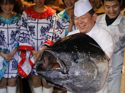 bluefin tuna record price