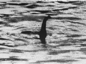 Is this the Loch Ness monster?
