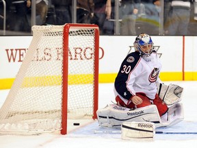 Andrew D. Bernstein/NHLI via Getty Images