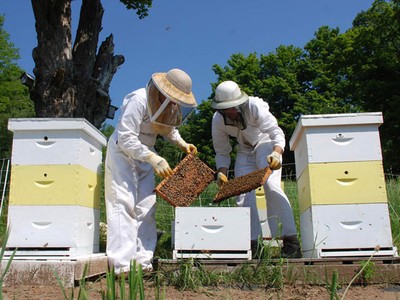 BECOMING a BEEKEEPER // RANCH SHENANIGANS gone wrong 
