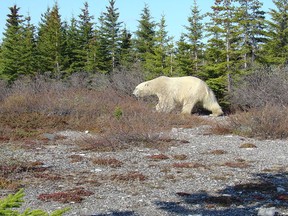 Lee Greenberg/Ottawa Citizen/file photo