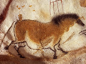 Drawings in Lascaux Cave in southwestern France. The Chauvet Cave drawings (not pictured) have been dated to be the oldest in the world, approximately 28,000-40,000 years old. But why did those "people" travel north?