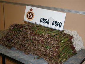 cbsa.gc.ca