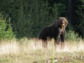 Parks Canada