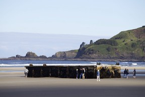 AP Photo/The Oregonian, Thomas Boyd