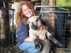 Shropshiresheep.org