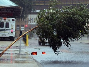 A tree is blown over outside Tulane Medical Center during the rains from Hurricane Isaac on August 29, 2012 in New Orleans, Louisiana. The Category 1 hurricane is slowly moving across southeast Louisiana, dumping large amounts of rain and knocking out power to Louisianans in scattered parts of the state.