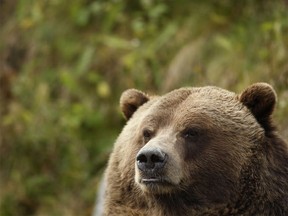 Mathieu Belanger / Reuters