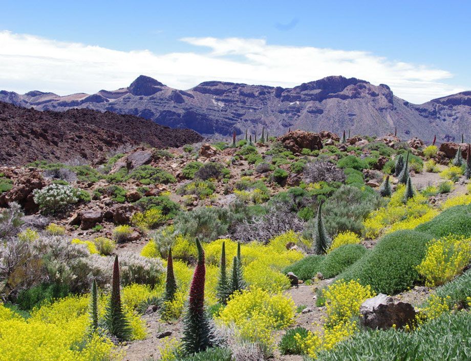 July 13, 2012 – Las Palmas, Canary Islands, Spain – Titanick from