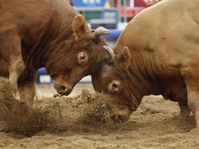 Kim Hong-Ji / Reuters