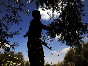 AP Photo/Mohammed Ballas