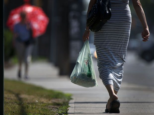 Paper or plastic? Councilman wants plastic leaf bag ban reversed