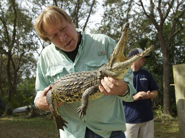 Florida wildlife officials issue rare shoot-to-kill order in hunt for ...