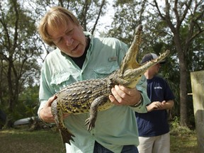 In this Wednesday, Nov. 28, 2012 photo, Joe Wasilewski works with a captured Nile crocodile, caught near his Homestead, Fla., home. State wildlife officials have given their agents a rare order to shoot to kill in the hunt for a young and potentially dangerous Nile crocodile loose near Miami. "They get big. They're vicious. The animals are just more aggressive and they learn that humans are easy targets," says Wasilewski, a reptile expert and veteran wrangler. The American croc "is a gentle animal, believe it or not. That's their nature. They're more fish eaters. They don't consider humans a prey source," says Wasilewski. (J Pat Carter / AP)