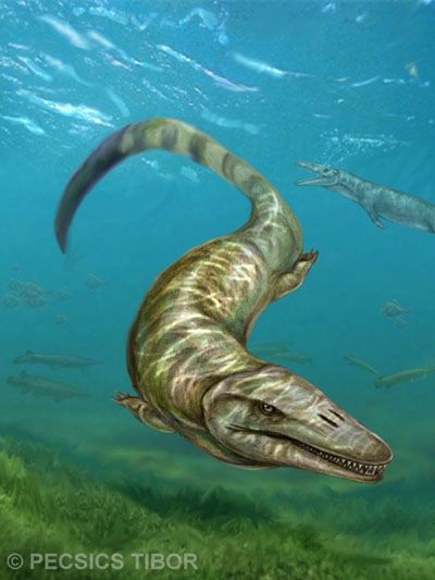 Pannoniasaurus—a 6-metre freshwater Mosasaurs—discovered in