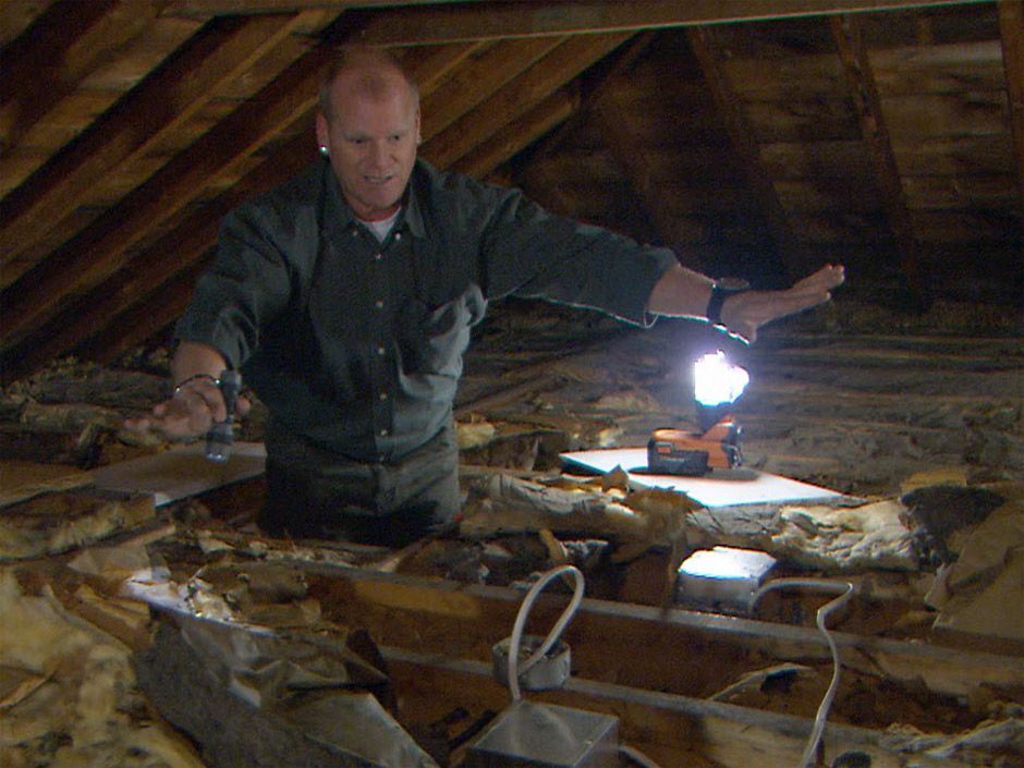 How to Get Rid of Mice in the Attic Insulation - Attic Insulation Toronto