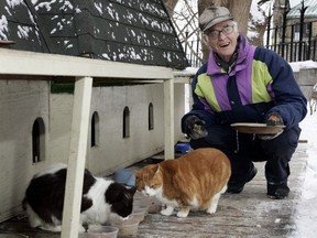 ROD MACIVOR / Postmedia News files