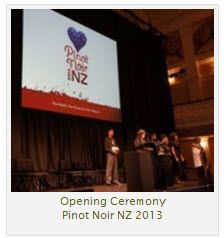 Pinot Noir NZ 2013