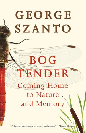 Bog Tender by George Szanto