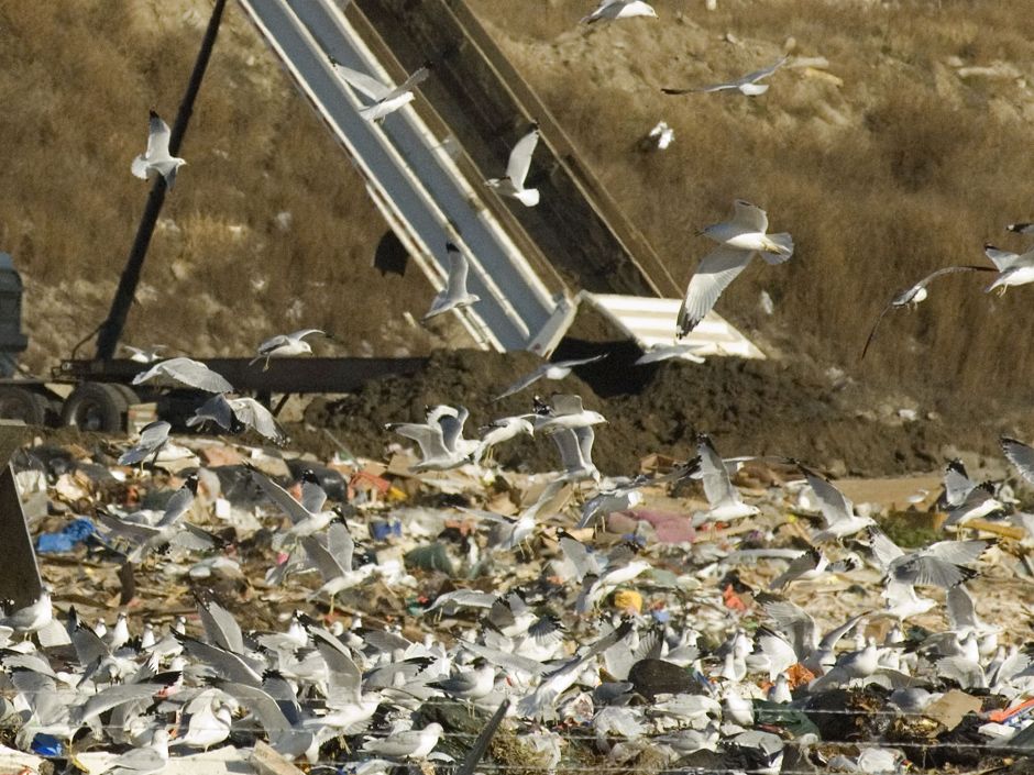 Young mother charged after failed search for dead baby in Saskatoon