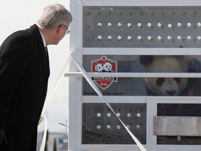 AFP Photo / Handout