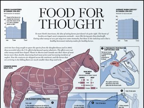 HorseFood620