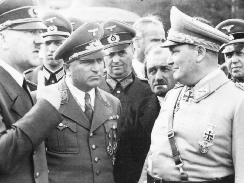 Malinkaning mushukining yalangoch fotosurati