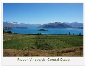 Exploring A Taste Of The Marlborough Region With Cloudy Bay - NZ Herald