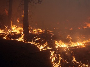 AP Photo/Jason Halley, Chico Enterprise-Record