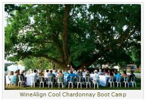 WineAlign Cool Chardonnay Boot Camp