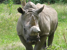 The Greater Vancouver Zoo