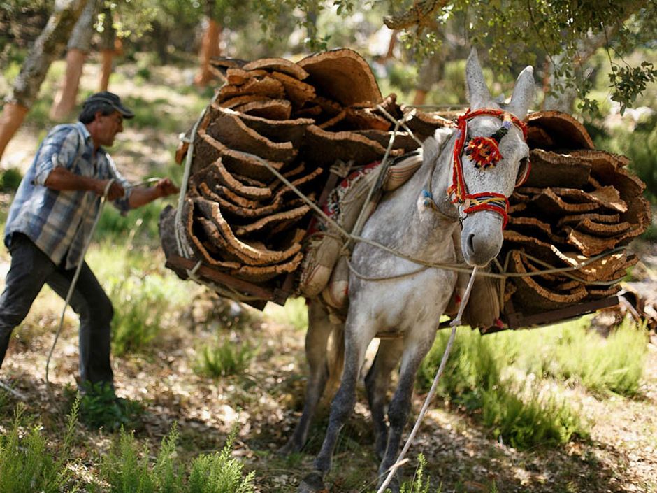 【WV】Working Mule