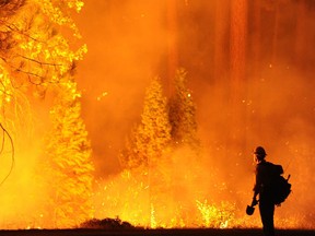 AP Photo/The Modesto Bee, Elias Funez