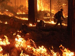 AP Photo/U.S. Forest Service, Mike McMillan
