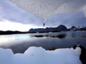 John McConnico / AP Photo