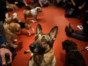 AP Photo/Seth Wenig