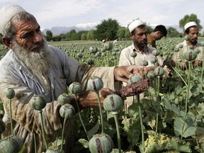 AP Photo/Rahmat Gul file