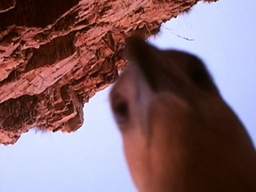 AP Photo/Kimberley Land Council via AP Video