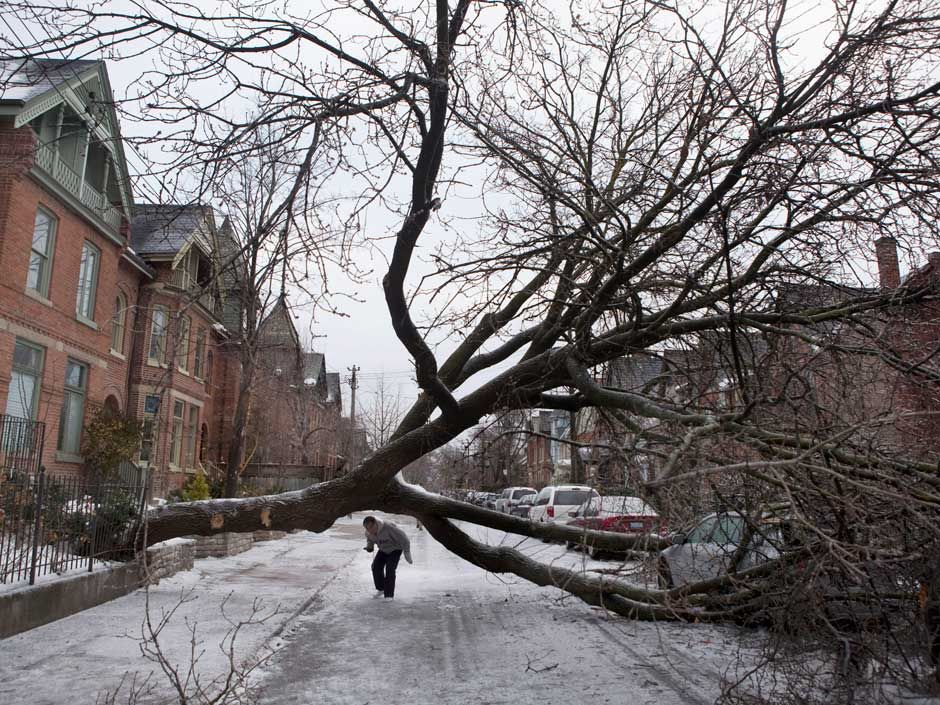 Toronto power outage survival guide What to do if your power goes out