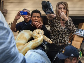 AP Photo/The Orange County Register, Bruce Chambers