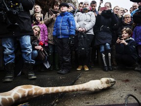 KASPER PALSNOV/AFP/Getty Images