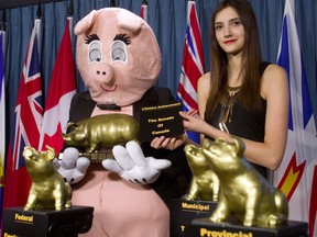 Nakisa Fouladi a pig mascot present the annual Canadian Taxpayers Federation Teddy Government Waste Awards on Parliament Hill in Ottawa, Wednesday, February 26, 2014. The awards went to the Employment and Social Development Canada (federal), fired Toronto Pan-Am Games boss (provincial), Vancouver's TransLink building a $4.5 million parking lot (municipal), and the Lifetime Achievement Award goes to the Senate of Canada. THE CANADIAN PRESS/Fred Chartrand