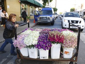 AP Photo/Nick Ut