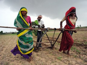 Sam Panthaky/AFP/Getty Images