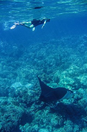 Courtesy of Diana Selkirk