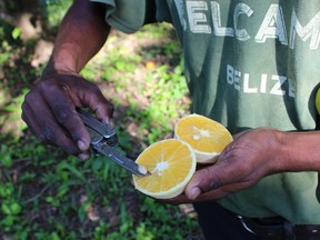 Belcampo’s artist-in-residence program allows visitors to learn skills from wrapping tamales to mixing mojitos alongside leading experts.