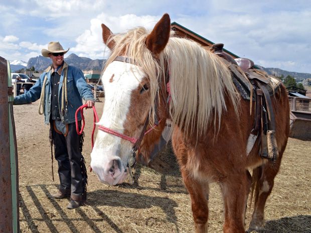 Gardiner Angus Ranch : Cutting Horse Clinic