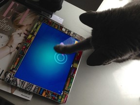 Zut, playing Friskies' Cat Fishing app